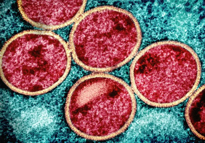 a group of red circles sitting on top of a blue surface