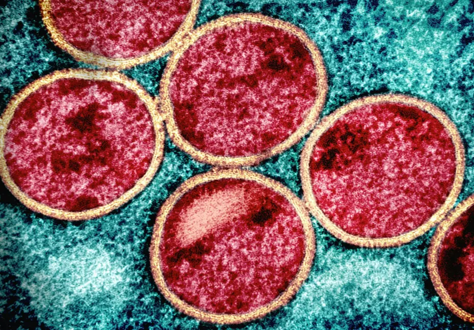 a group of red circles sitting on top of a blue surface