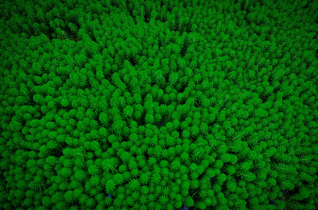 Agriculture générale