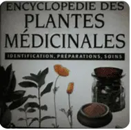 Les plantes médicinales 