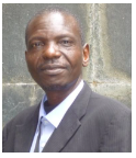 SOCIAL INNOVATION EMERGENCE IN A  CONGOLESE URBAN TERRITORY WITH A  PEASANT LIFESTYLETO A SMART CITY