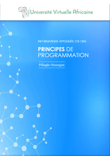 613-principes-de-programmation-pelagie-houngue_compressed