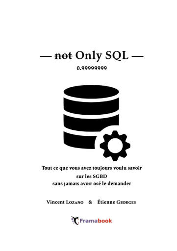 Not Only SQL - Vincent Lozano et Étienne Georges (1)_compressed